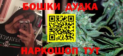 сатива Бузулук
