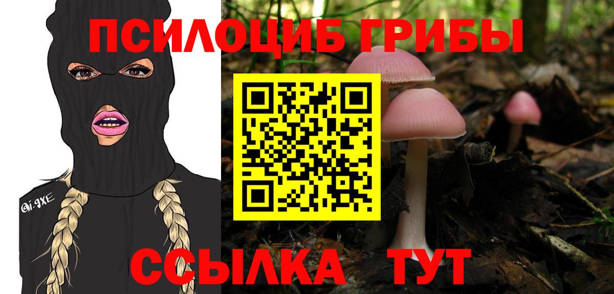 Псилоцибиновые грибы GOLDEN TEACHER  цены   Вход с VPN  Янаул  Галлюциногенные грибы GOLDEN TEACHER 